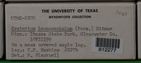 Image Associated With the Occurence